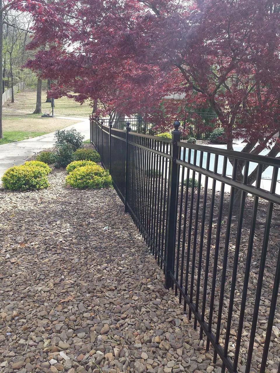 Black ornamental iron fence with a Japanese maple beside it in Northwest Arkansas